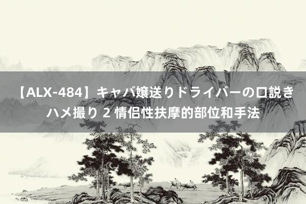 【ALX-484】キャバ嬢送りドライバーの口説きハメ撮り 2 情侣性扶摩的部位和手法