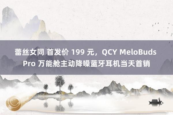 蕾丝女同 首发价 199 元，QCY MeloBuds Pro 万能舱主动降噪蓝牙耳机当天首销