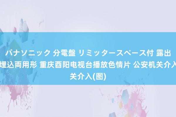 パナソニック 分電盤 リミッタースペース付 露出・半埋込両用形 重庆酉阳电视台播放色情片 公安机关介入(图)