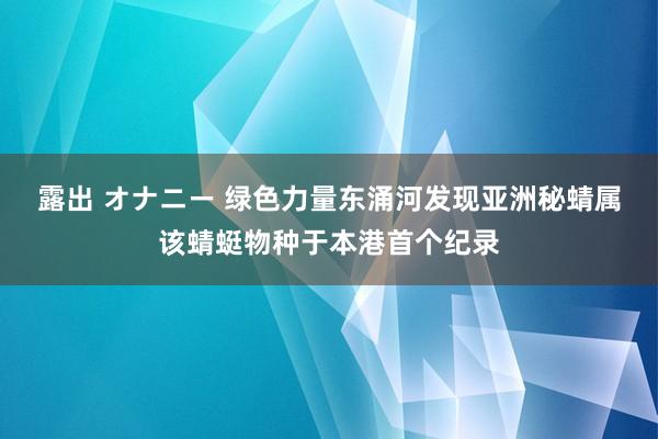 露出 オナニー 绿色力量东涌河发现亚洲秘蜻　属该蜻蜓物种于本港首个纪录