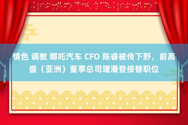 情色 调教 哪吒汽车 CFO 陈睿被传下野，前高盛（亚洲）董事总司理潘登接替职位