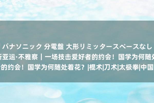 パナソニック 分電盤 大形リミッタースペースなし 露出・半埋込両用形 新亚运·不雅察｜一场技击爱好者的约会！国学为何随处着花？|棍术|刀术|太极拳|中国技击