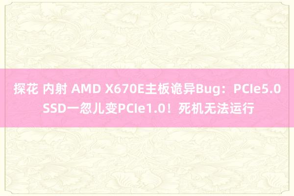 探花 内射 AMD X670E主板诡异Bug：PCIe5.0 SSD一忽儿变PCIe1.0！死机无法运行