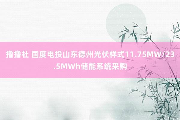 撸撸社 国度电投山东德州光伏样式11.75MW/23.5MWh储能系统采购