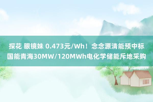 探花 眼镜妹 0.473元/Wh！念念源清能预中标国能青海30MW/120MWh电化学储能斥地采购