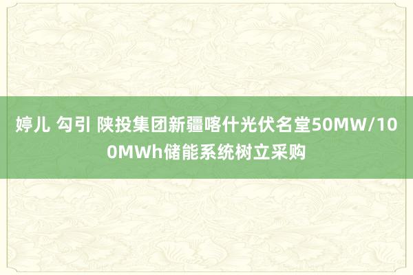 婷儿 勾引 陕投集团新疆喀什光伏名堂50MW/100MWh储能系统树立采购