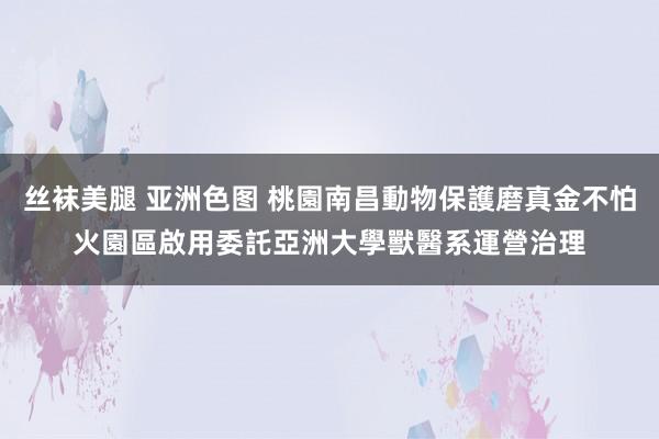 丝袜美腿 亚洲色图 桃園南昌動物保護磨真金不怕火園區啟用　委託亞洲大學獸醫系運營治理